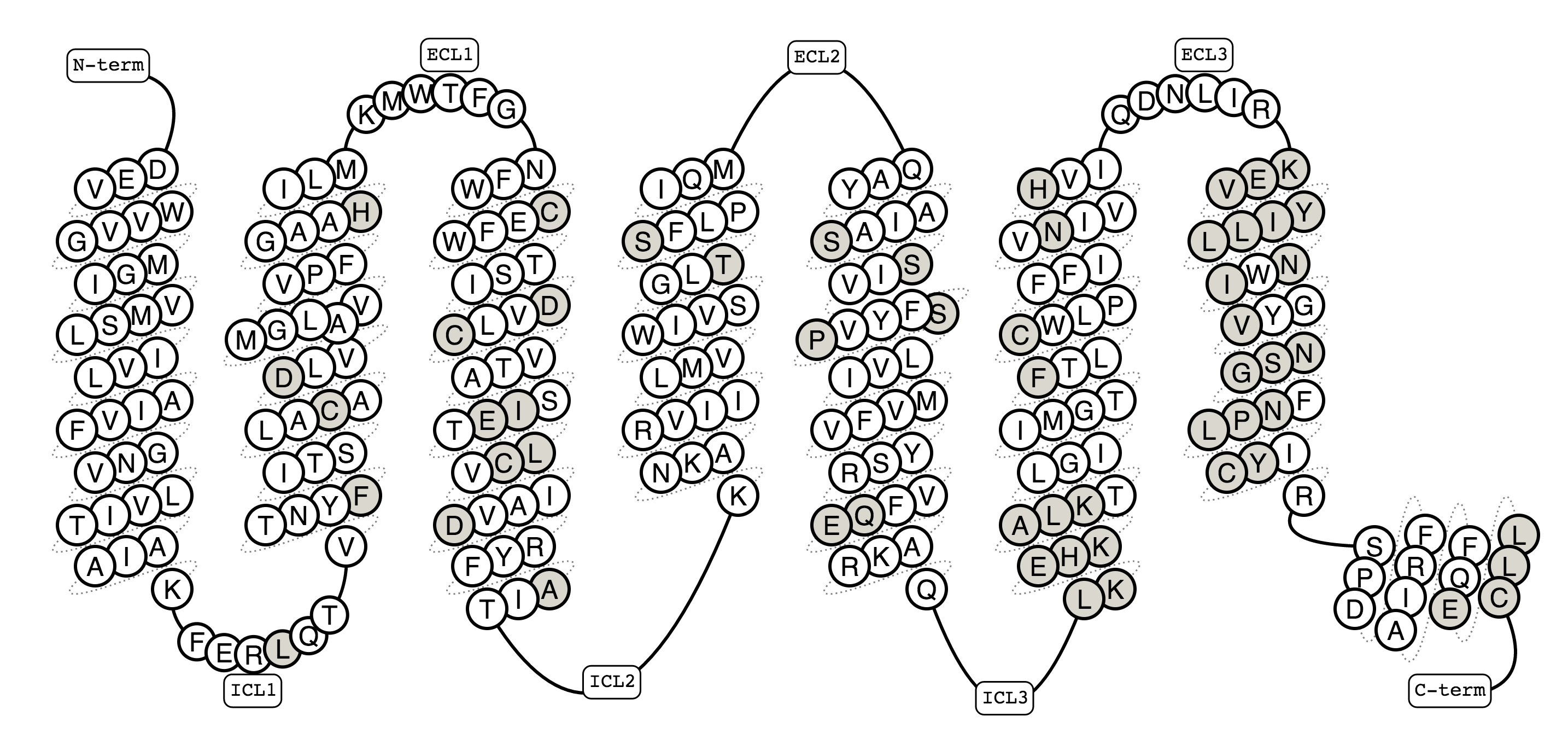 Example snake diagram